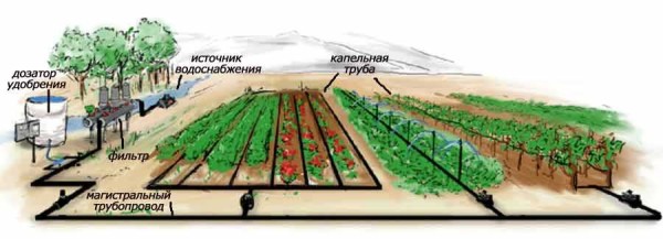 L'irrigazione automatica fai-da-te del giardino può essere assemblata da componenti o acquistare kit di irrigazione già pronti