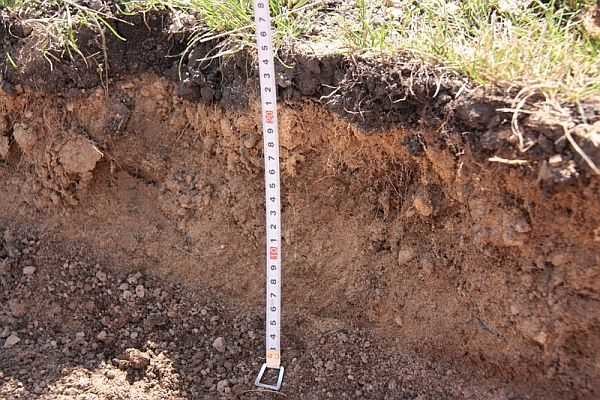 El suelo se retira a una profundidad de 20-25 cm y luego se cubre con tierra.