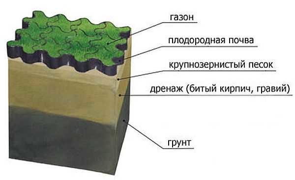 En suelos pantanosos, para cultivar un césped hermoso, es necesario crear condiciones normales para el drenaje del agua.