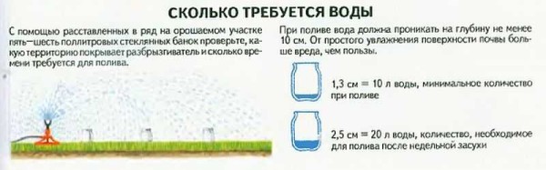 Cómo comprobar la cantidad de agua que recibe tu hierba