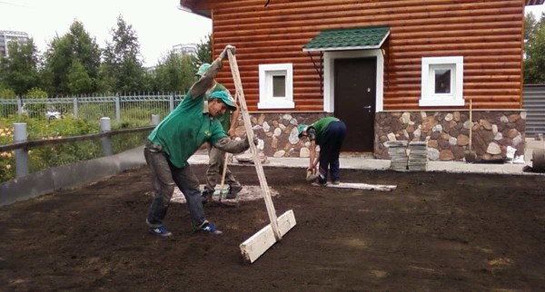 Da biste napravili prekrasan travnjak, morate pažljivo poravnati područje