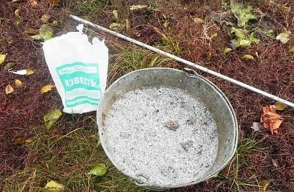 Disinfezione della cantina con vapore di calce