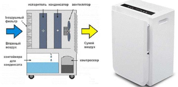 Un modo per asciugare un seminterrato umido è installare un deumidificatore domestico.