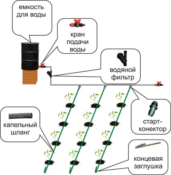 Lo schema di irrigazione a goccia da una botte è facile da fare con le tue mani