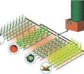 L'irrigazione a goccia fai-da-te è facile da fare: Gli schemi per la serra e l'orto sono gli stessi