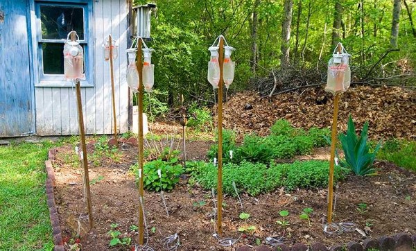 Spreco di reddito: l'irrigazione per le giovani piante è assicurata