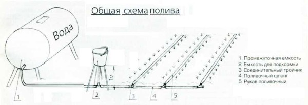 Schema di irrigazione a goccia a gravità