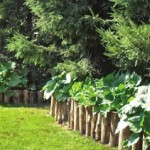 Las mitades de troncos también se pueden doblar en una cerca para un jardín de flores elevado