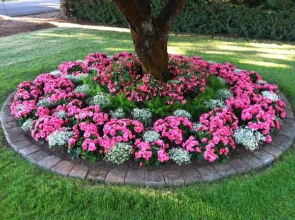 Este es un macizo de flores. Tiene una forma clara, estrictamente definida y plantas geométricamente correctas.