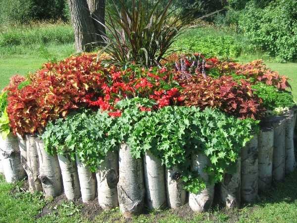 Det er egentlig ikke et tre, selvfølgelig, men ideen er klar. Disse hageblomstersengene er gode for skyggekjære planter.