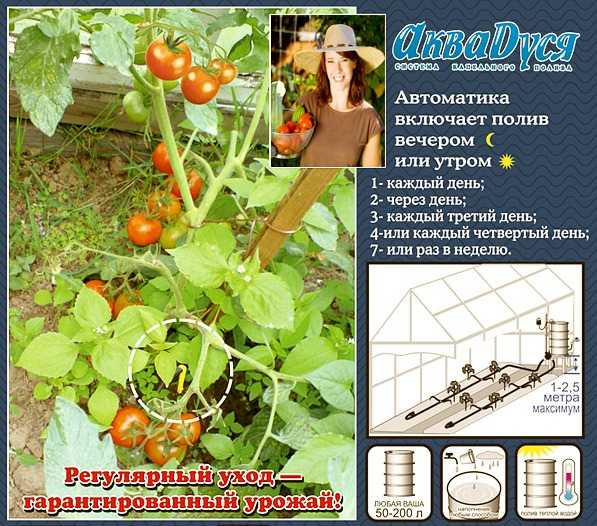 Sistema de automatización de riego de plantas