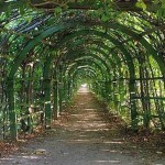 El arco para uvas también es una pérgola, solo con una forma modificada de la parte superior