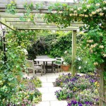 Caprifoglio in fiore su un arco di pergola