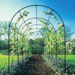 Un altro arco di rose è il pergolato del giardino che vediamo più spesso.