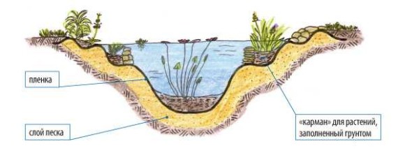 Come realizzare correttamente il fondo per le piante. La disposizione dello stagno sarà più facile se crei sporgenze a diversi livelli, spargi pietre, versi un po 'di terra in esse