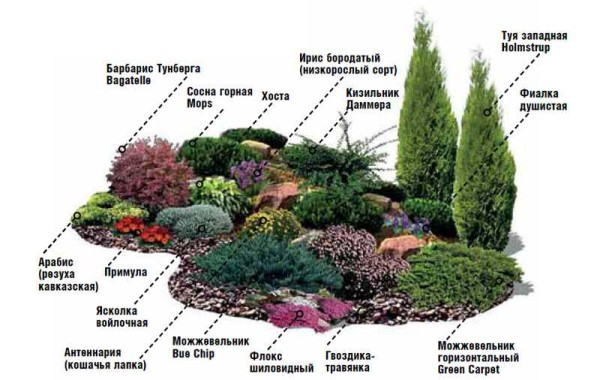 Cosa puoi atterrare su una bassa collina o in una rockaria