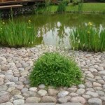 Los rincones agradables se pueden pavimentar con piedra natural grande