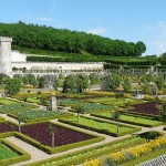 Los colores intermitentes son la base del efecto decorativo del jardín francés.