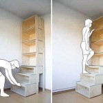 Idea para quienes tienen muchos libros