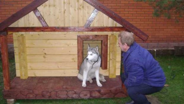 Vi er ikke helt Alabai og ikke kaukasiske, men heller ikke en veldig liten hund