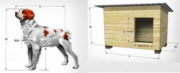 Dimensionamento di una cuccia per cani