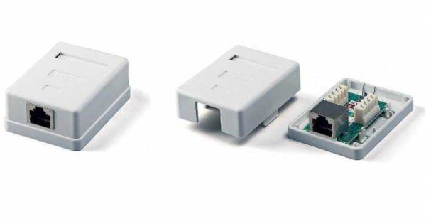 Presa per computer RJ-45 da esterno - Parete