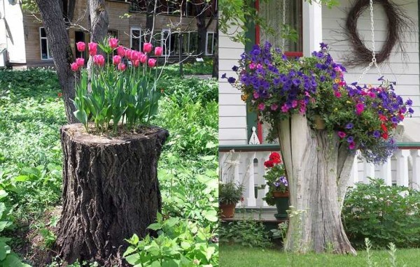 E incluso un tocón de árbol en un día de primavera ...