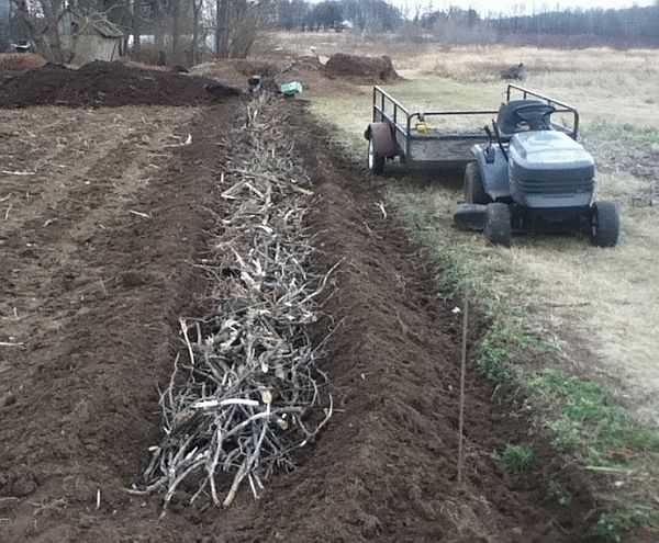 Disposizione interna dei letti alla rinfusa