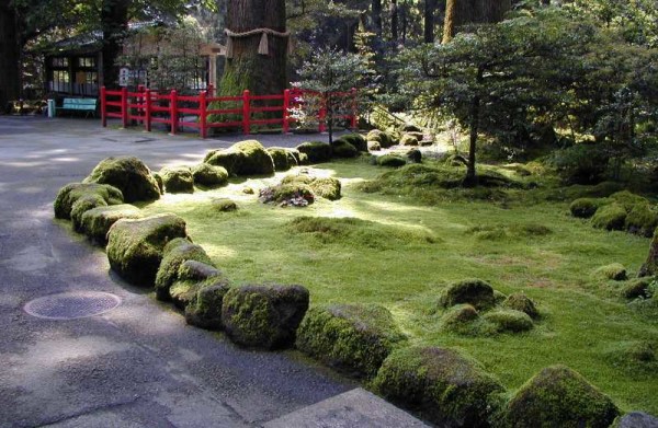 Immagini di decorazione del giardino fai da te