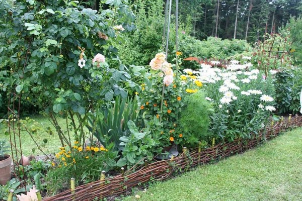 Wattle som et gjerde for en blomsterbed