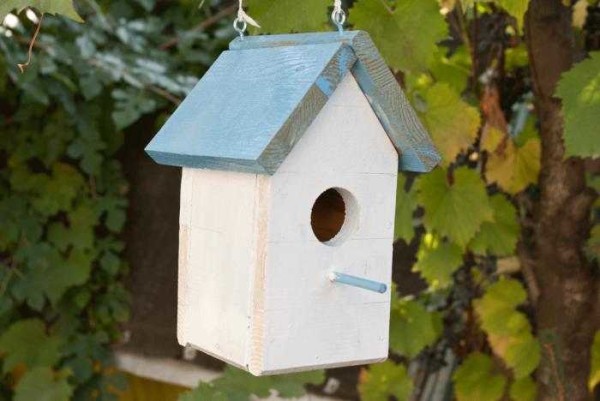 Si una casa así se cuelga de un abedul, será invisible.