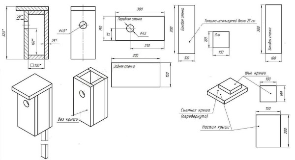 Birdhouse disegno con dimensioni