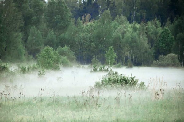 Ved konsentrasjonen av tåke kan du bestemme hvor vannet er nærmere