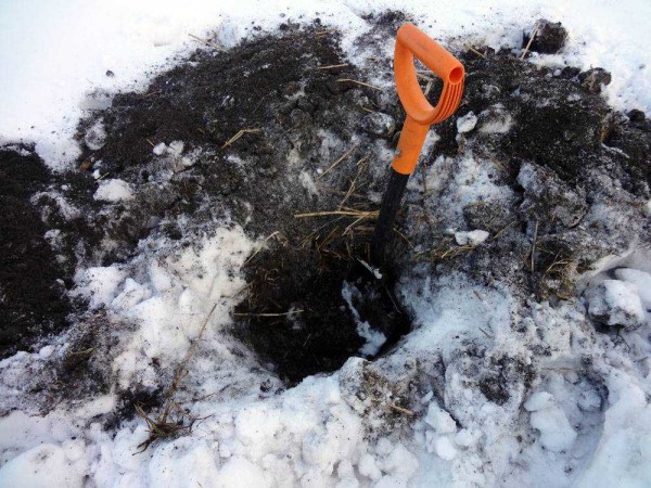 Vinter og sensommer er den beste tiden å grave brønner