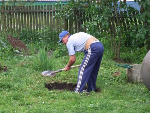 Kopajte strogo prema veličini noža