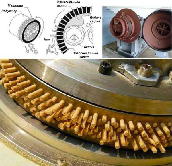 Dispositivo granulatore per stampi cilindrici