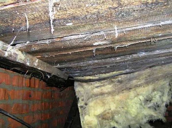 Ecco come appare un piano interrato dopo alcuni mesi senza ventilazione.