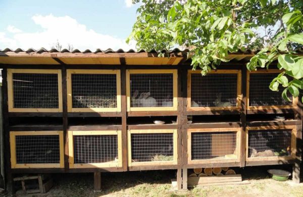 Otra opción para mantener los conejos al aire libre