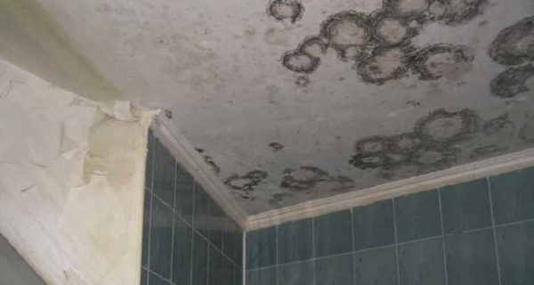 La razón de la aparición de moho y hongos en el baño es la mala ventilación.