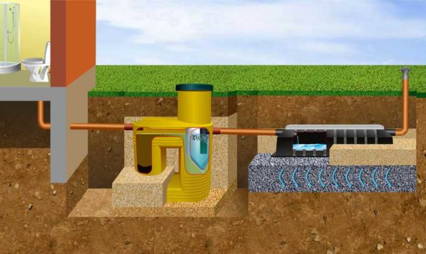 Una de las formas de tratamiento adicional de aguas residuales después de un tanque séptico es un campo de filtración.