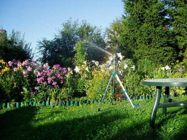 Para regar el jardín, debe seleccionar correctamente la bomba.