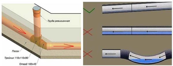 Puntos clave para recordar