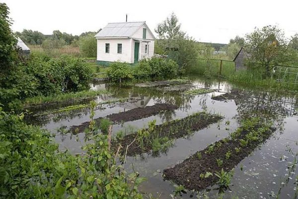 Da bi se izbjegla takva situacija, potrebna je drenaža mjesta