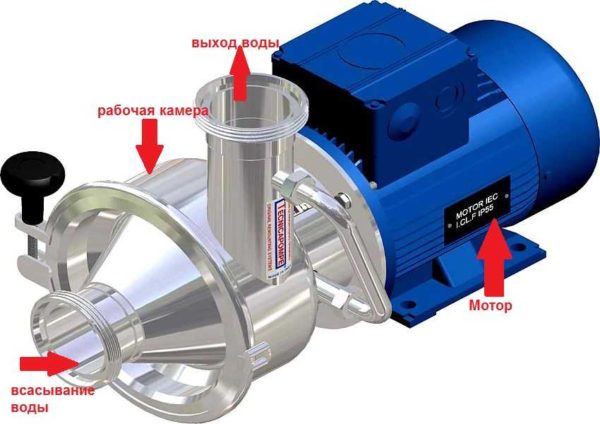 Aspetto della pompa autoadescante