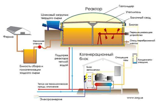 Organizzazione di un ciclo di trasformazione del letame e dei rifiuti vegetali in biogas