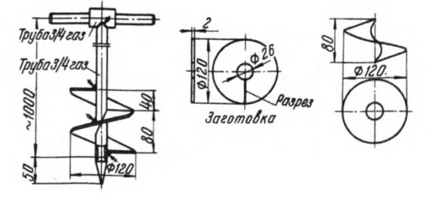 Disegno dettagliato nelle proiezioni della coclea della coclea