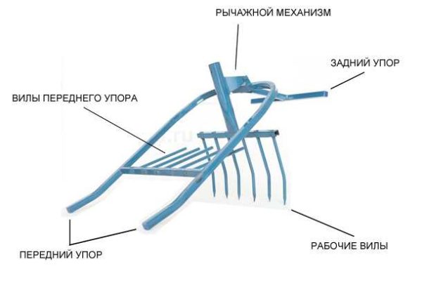 Pala miracolosa e suoi componenti