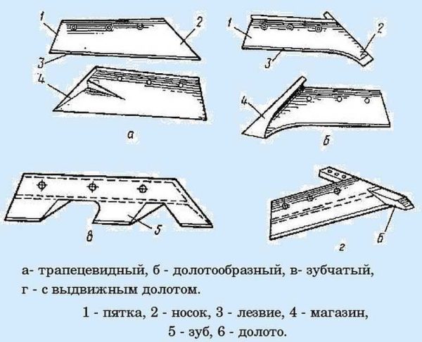 Oblici ralica