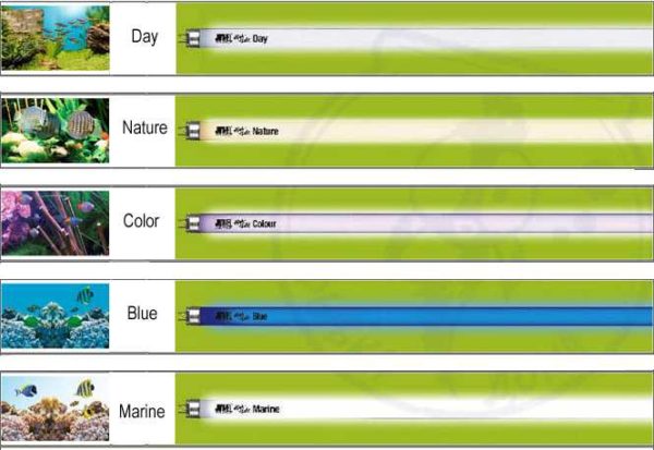 Alcuni tipi di lampade fluorescenti speciali per acquari