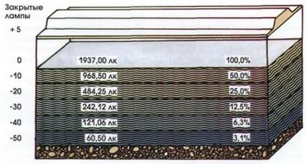 Ogni 10 cm di profondità consuma il 50% del livello di luce